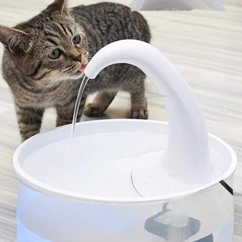 Cat Drinking Fountain Trendify
