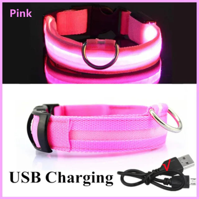 LED Glowing Dog Collars Rechargeable Trendify