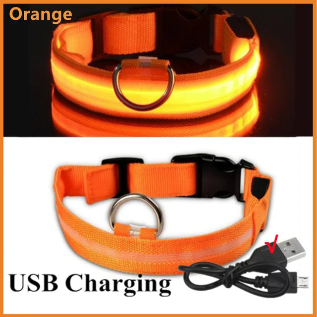 LED Glowing Dog Collars Rechargeable Trendify