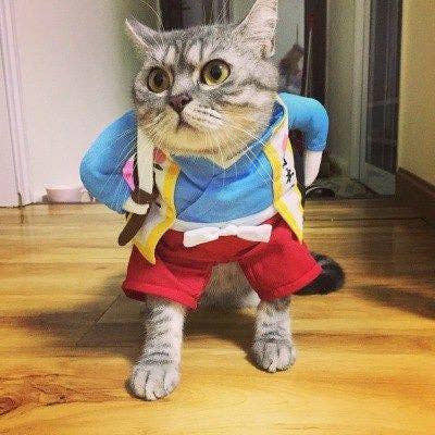 Funny Pets Costum Trendify