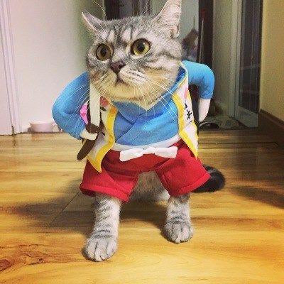 Funny Pets Costum Trendify