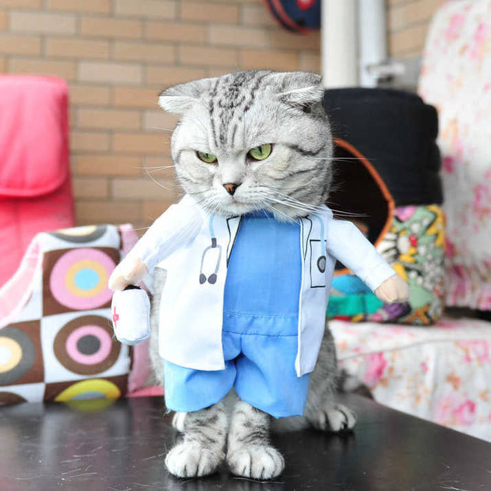 Funny Pets Costum Trendify