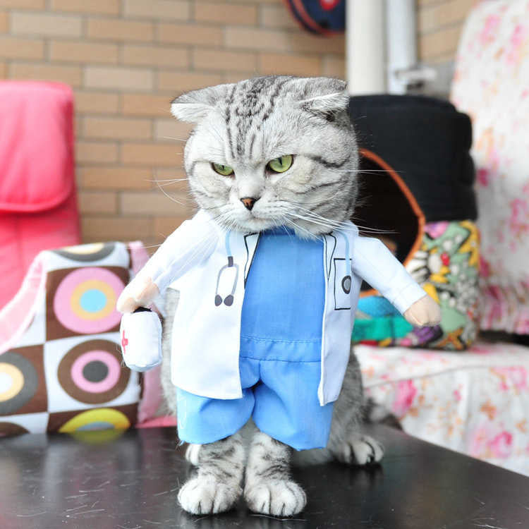 Funny Pets Costum Trendify