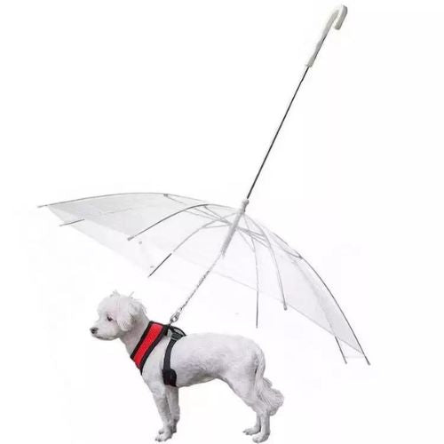 Pet Umbrella Trendify