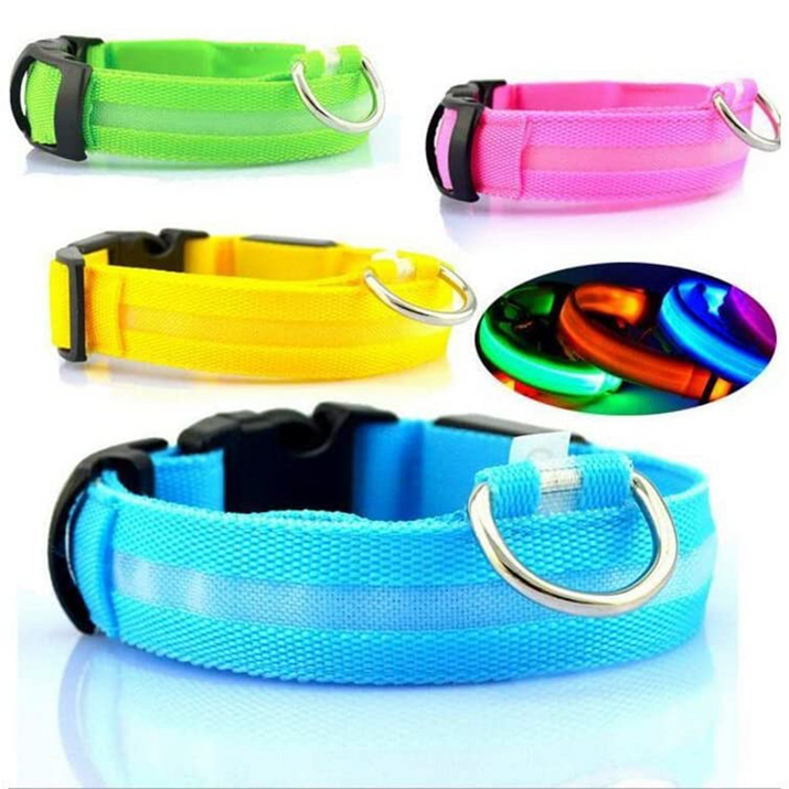 LED Glowing Dog Collars Rechargeable Trendify