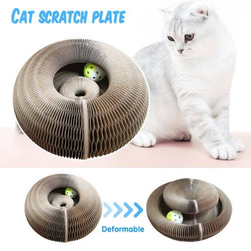 Round Organ Cat Scratch Board Trendify