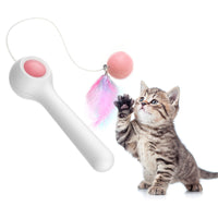 Cat Retractable Stick Feather Toy Trendify