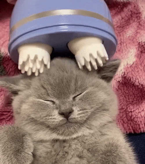 Electric Cat Massager Trendify