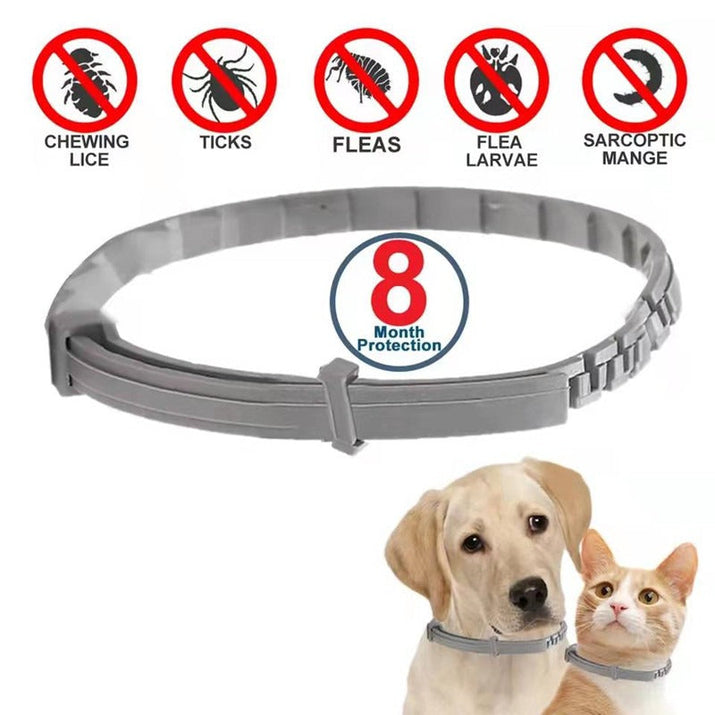Antiparasitic Pet Collar Trendify