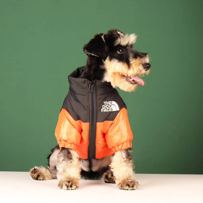 Windproof Dog Jacket The Dog Face Trendify