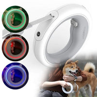 Dog Leash Ring Led Trendify