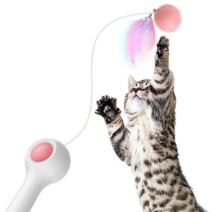 Cat Retractable Stick Feather Toy Trendify