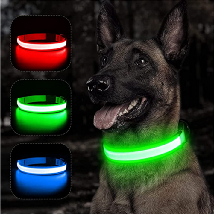 LED Glowing Dog Collars Rechargeable Trendify