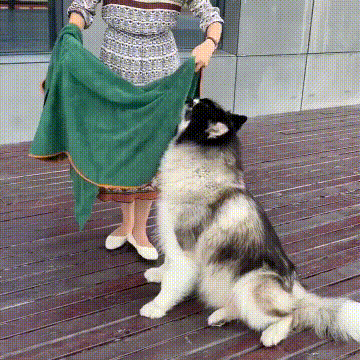 Dog Bathrobe Towel Trendify