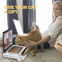 Cat Scratching Board Laptop - Trendify
