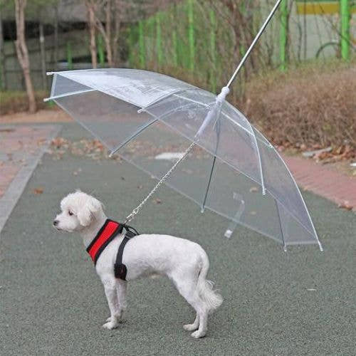 Pet Umbrella Trendify