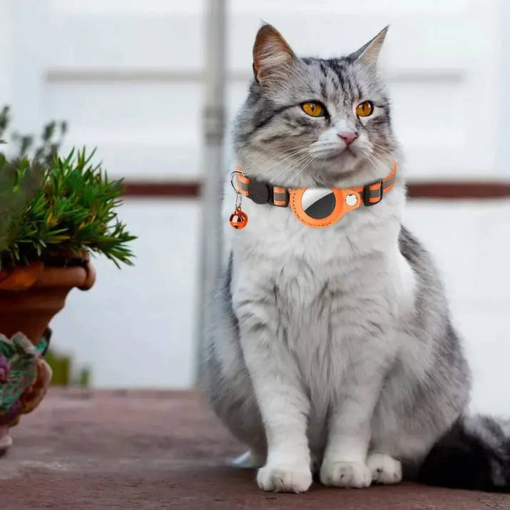 Reflective Cat Collar with Apple AirTag Holder - Trendify
