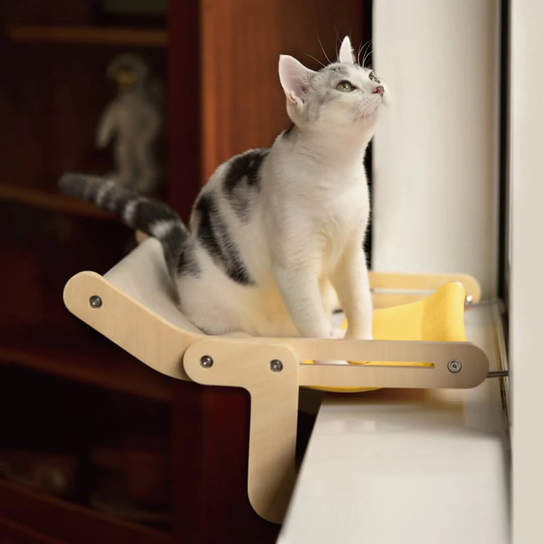 Sturdy Hanging Cat Bed - High Quality Durable Trendify