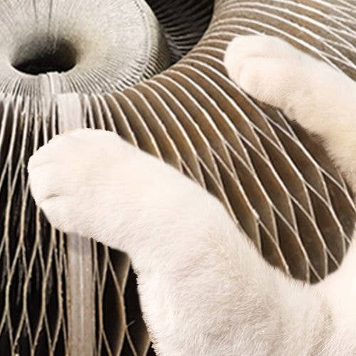 Round Organ Cat Scratch Board Trendify