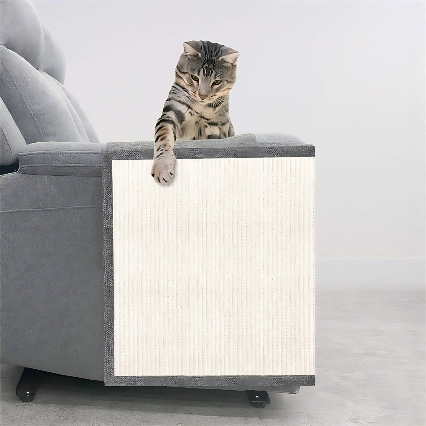 Cat Scratch Sofa Protector Trendify