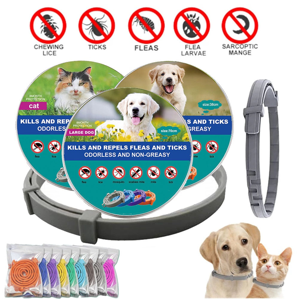 Antiparasitic Pet Collar Trendify