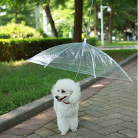 Pet Umbrella Trendify