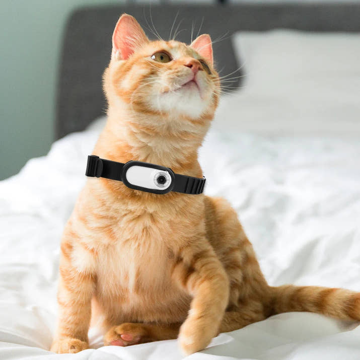 CatVision - Smart Camera Collar for Cats & Dogs - WiFi Wireless Trendify