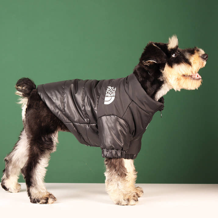 Windproof Dog Jacket The Dog Face Trendify