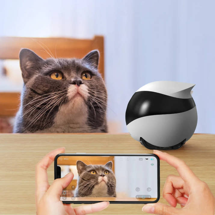 Robotic AI Smart Pet Cam Toy Self-Recharging - iOS & Android Trendify