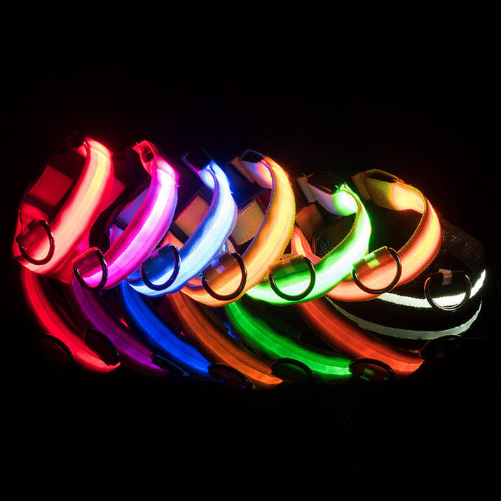 LED Glowing Dog Collars Rechargeable Trendify