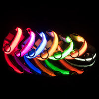 LED Glowing Dog Collars Rechargeable Trendify