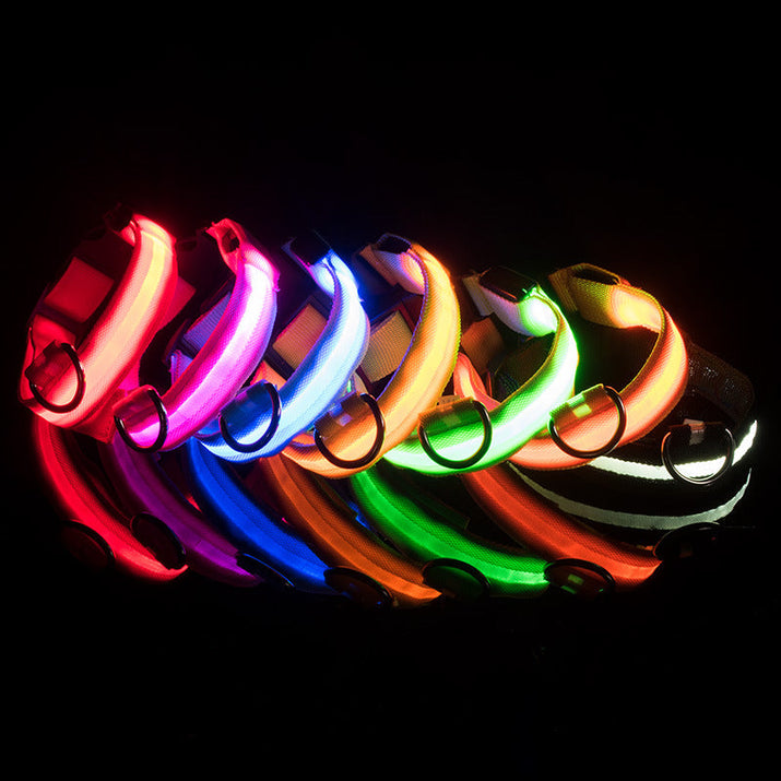 LED Glowing Dog Collars Rechargeable Trendify