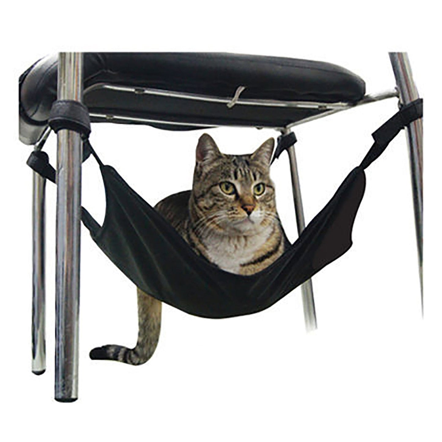 Cat Chair Hammock Trendify