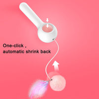 Cat Retractable Stick Feather Toy Trendify
