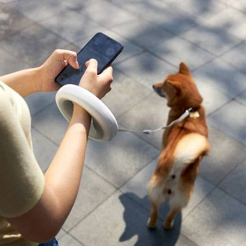 Dog Leash Ring Led Trendify