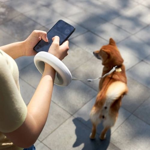 Dog Leash Ring Led Trendify