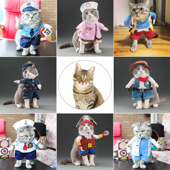 Funny Pets Costum Trendify