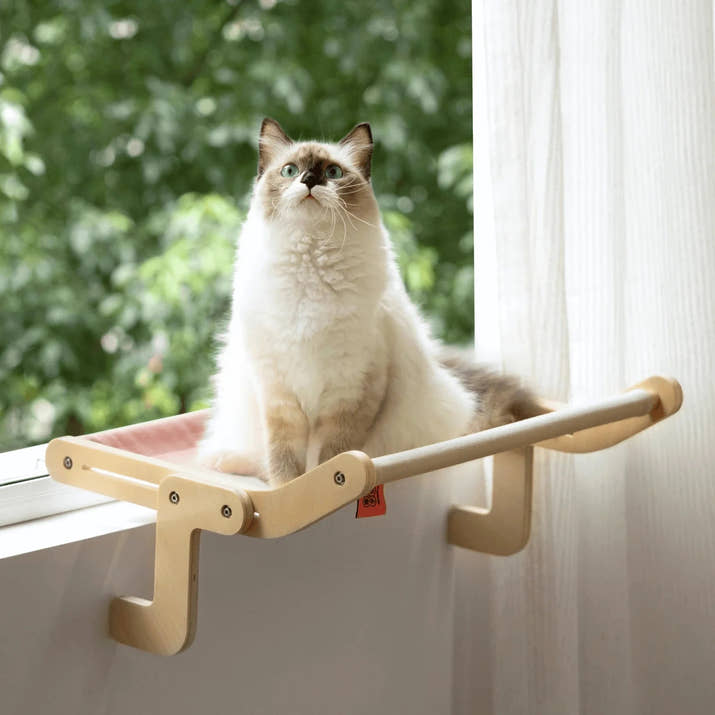 Sturdy Hanging Cat Bed - High Quality Durable Trendify