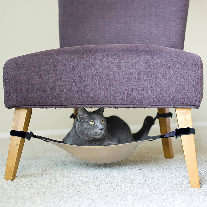 Cat Chair Hammock Trendify