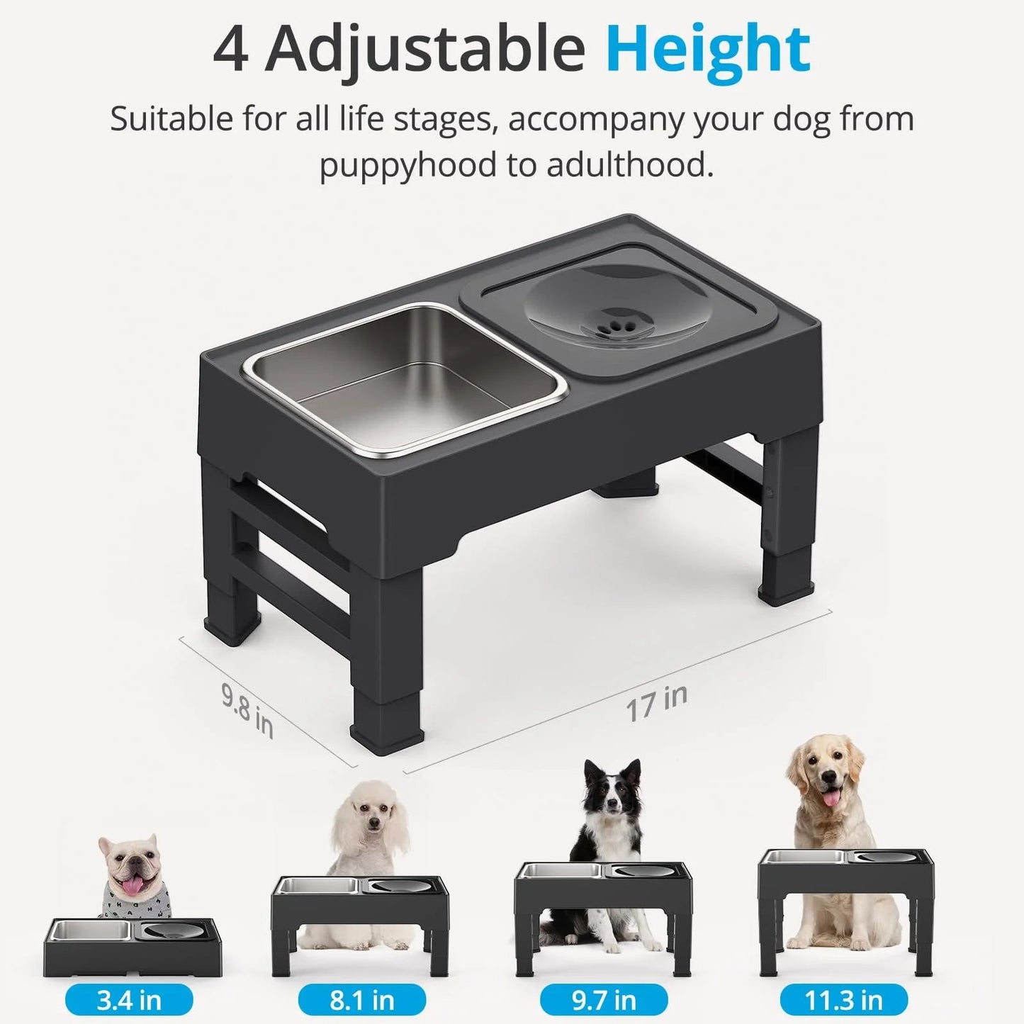 Elevated Mess-Free Dog Bowl - Stylish Elegant Durable Trendify