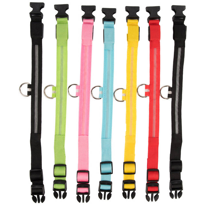 LED Glowing Dog Collars Rechargeable Trendify