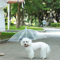 Pet Umbrella Trendify