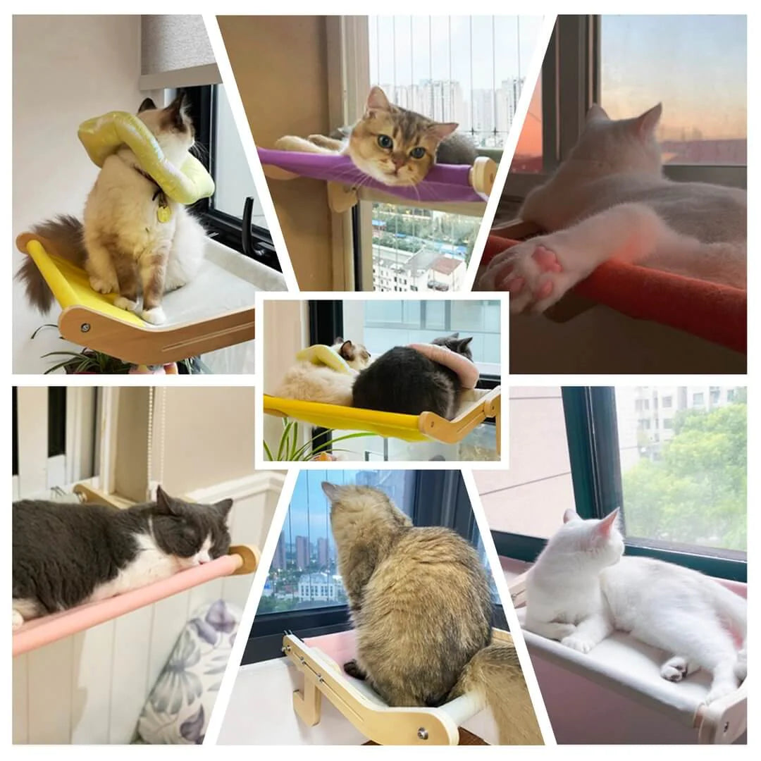 Sturdy Hanging Cat Bed - High Quality Durable Trendify