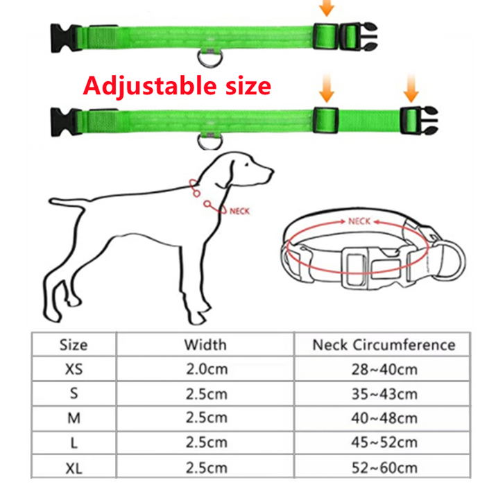 LED Glowing Dog Collars Rechargeable Trendify