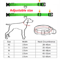LED Glowing Dog Collars Rechargeable Trendify