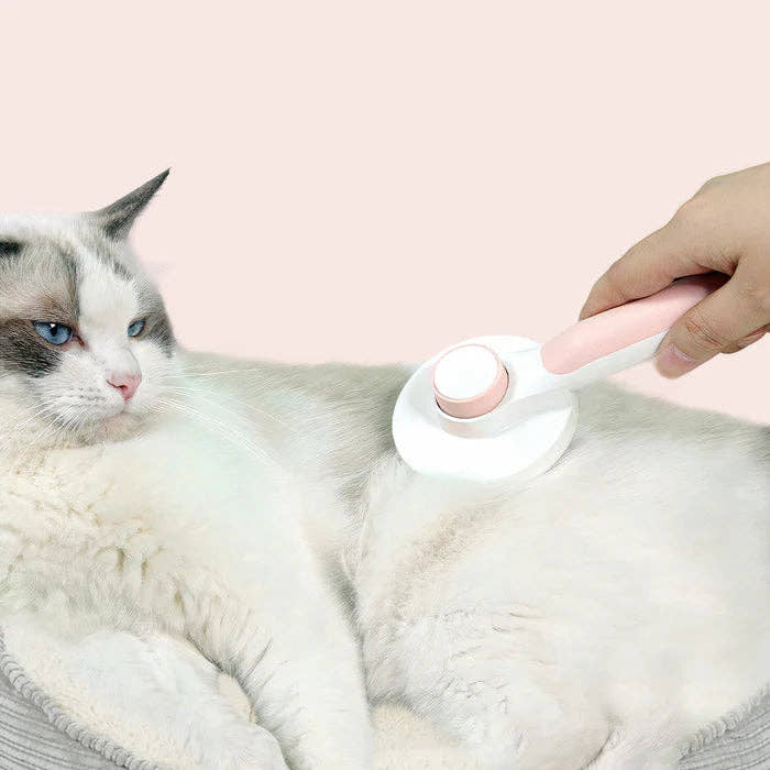 Self-Cleaning Pet Brush Trendify
