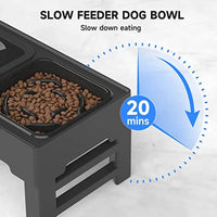 Elevated Mess-Free Dog Bowl - Stylish Elegant Durable Trendify