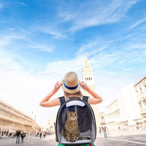 Cat Carrier Backpack Trendify