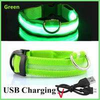 LED Glowing Dog Collars Rechargeable Trendify
