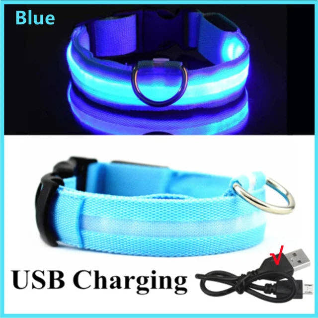 LED Glowing Dog Collars Rechargeable Trendify
